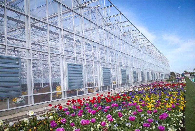 現(xiàn)代農(nóng)業(yè)智能溫室